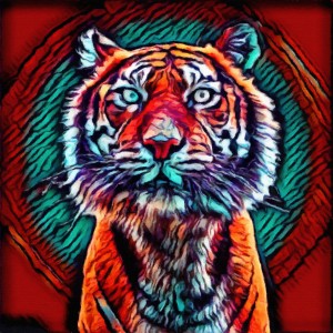 Tiger Color Face